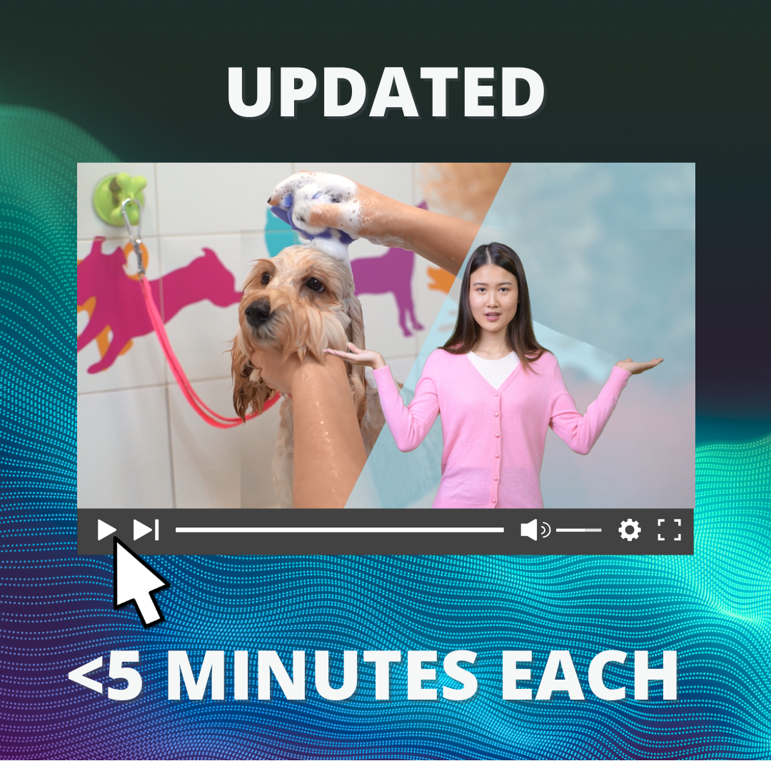 Project Sample: Updating a Legacy Training with ADDIE | Video Development